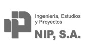 NIP Ingeniería y Estudios
